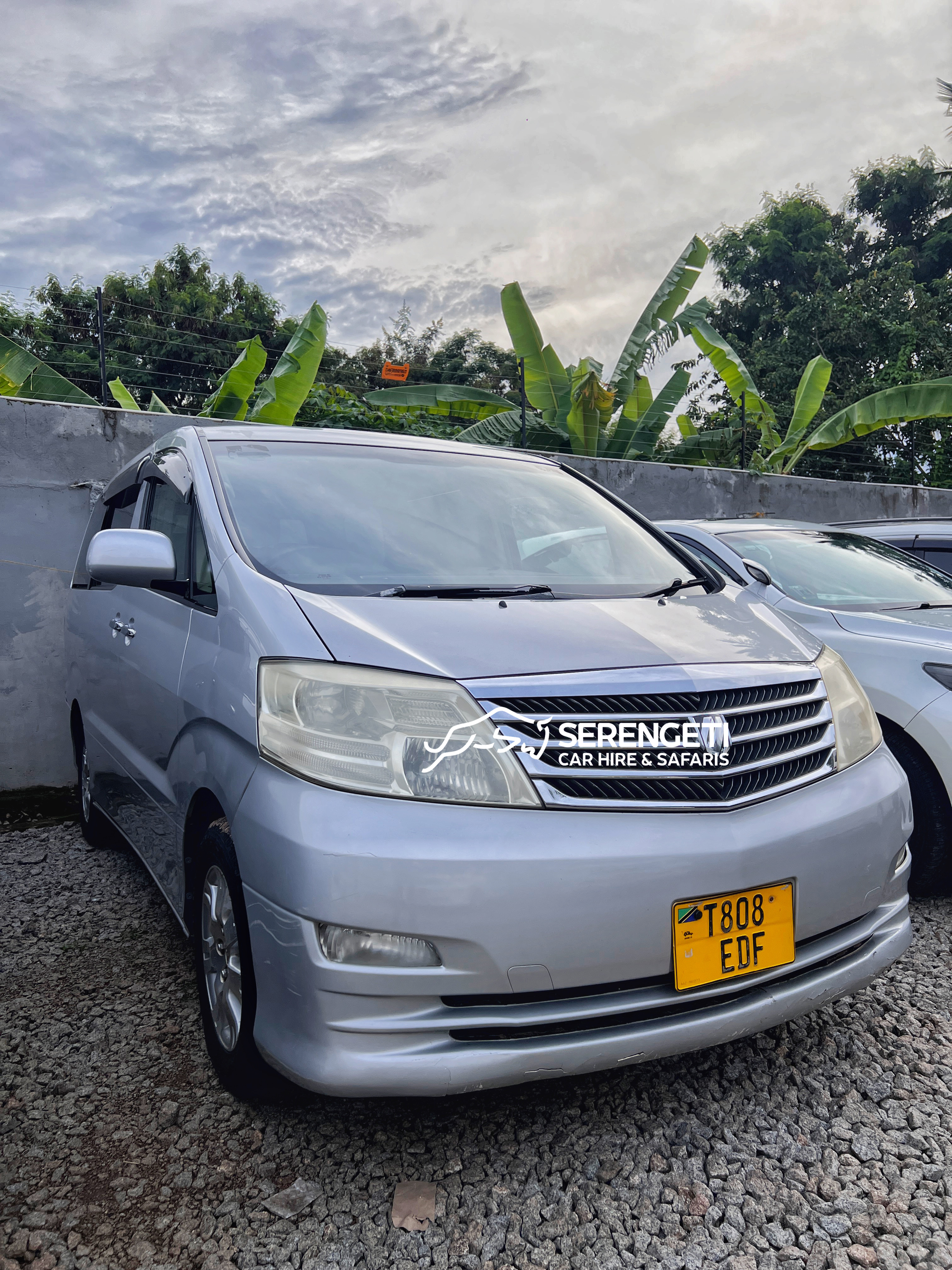 TOYOTA ALPHARD car for sale